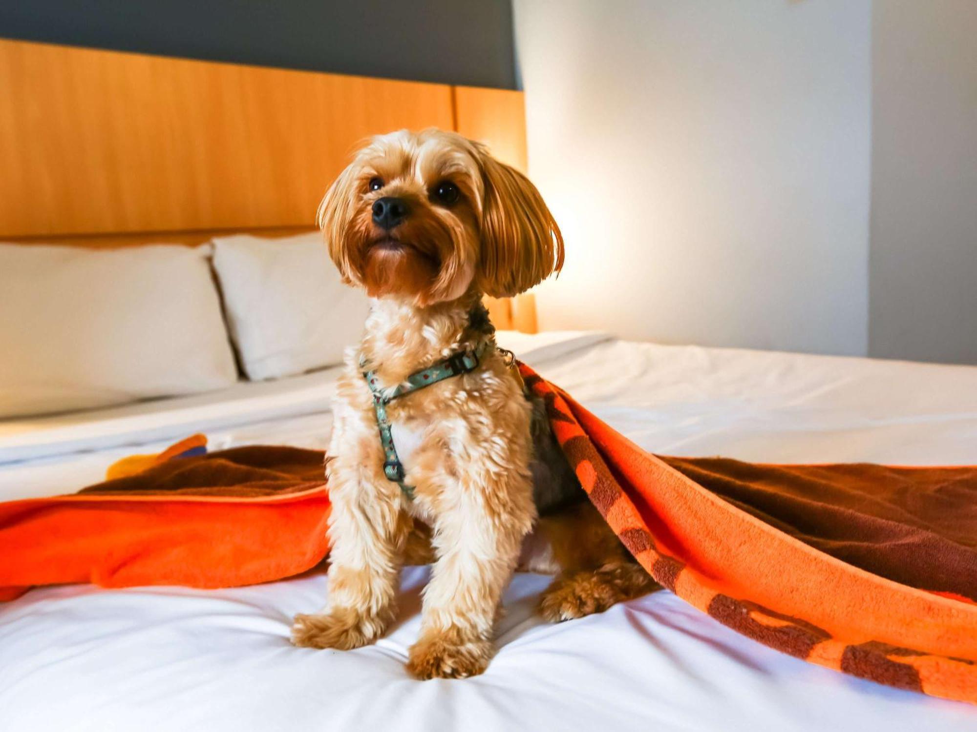 Ibis Rio De Janeiro Nova America ภายนอก รูปภาพ